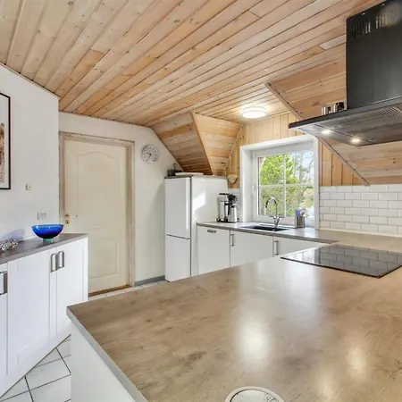 Albin - 2-8km From The Sea By Interhome Holiday home Kongsmark